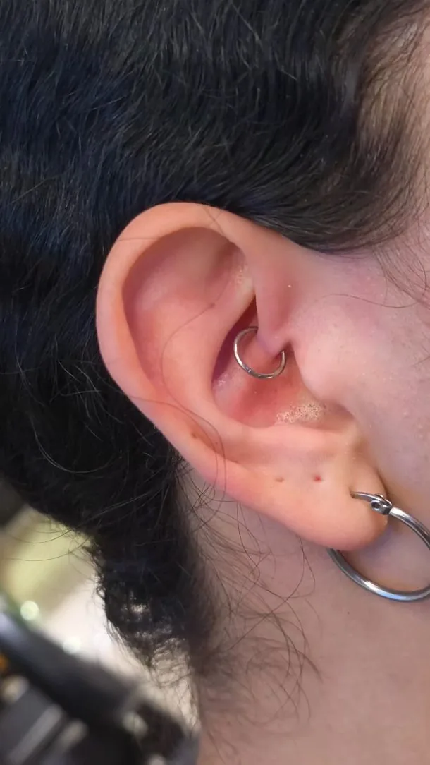 Oreja con un aro en el daith y otras perforaciones en el lóbulo y el cartílago