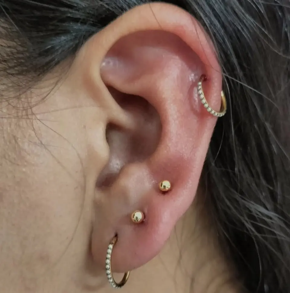 Oreja con varias perforaciones y joyería dorada, hechas en Dark Mantis