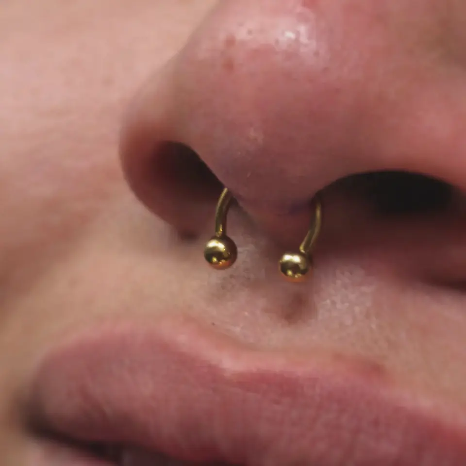 Perforación de septum con una herradura dorada